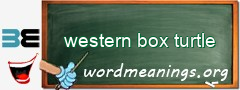 WordMeaning blackboard for western box turtle